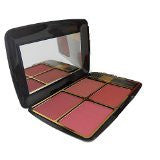 New BR Blusher Palette Travel kit with 4 shades and 1 brush