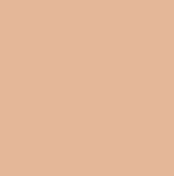L'Oreal Paris True Match the Powder, Rose Beige, 9gm