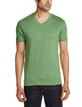 Hanes Men's V-Neck Cotton T-Shirt (8907163459961) (MPH75-702-PL Glf. Green L)