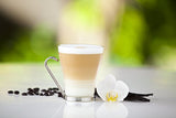 Nescafe Dolce Gusto for Nescafe Dolce Gusto Brewers, Vanilla Latte Macchiato, 16 Count