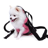Pettom Front Cat Dog Backpack Travel Bag Carrier Free Your Hands Lightweight and Safe (XL)