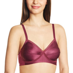Amante Non-Padded Non-wired Bra (BFOM18VTB36_Violet_36B)