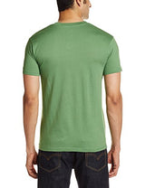Hanes Men's V-Neck Cotton T-Shirt (8907163459961) (MPH75-702-PL Glf. Green L)