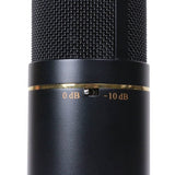 2) MXL-770 Condenser Mic and case + 2) XLR to XLR cables + 2) Pop Filters