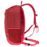 Quechua Arpenaz 20 Backpack, 20Liters