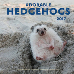 Adorable Hedgehogs 2017: 16-Month Calendar September 2016 through December 2017