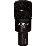Audix D2 Dynamic Microphone, Hyper-Cardioid