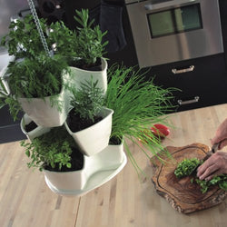 Prosper Plast DKN300W-S449 29.5 x 29.5 x 88 cm 