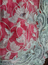 Sareeshop Women's Georgette Saree (ZoyaPink_Pink_Free Size)