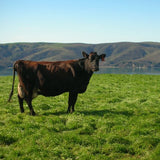 100% Organic Ghee from Grass-fed Cows, 32oz