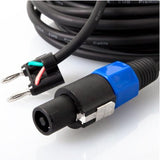 EMB Professional 2 PACKS Of BTS-16G100F - 100FT 16 Gauge Banana To Speakon Heavy Duty Speaker Cables
